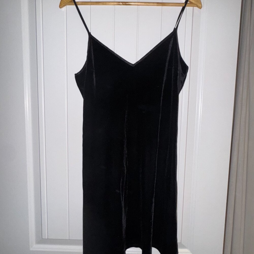 A&F Velvet Slip Dress
